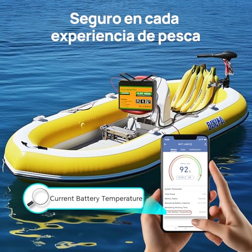 Miniatura 2 de Eco-Worthy Lifepo4 Bluetooth 12 V 100 Ah Con Protección Bms Baja Temperatura, Batería De Litio De 1280 Wh De 12 V 100 Ah Para Autocaravanas, Caravanas Y Vehículos Recreativos