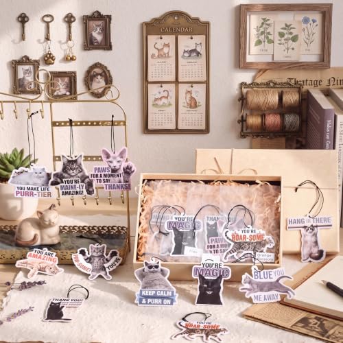 Image of Siifert 24 Pcs Vet Tech Appreciation Week Gift Bulk Cat Air Freshener Car