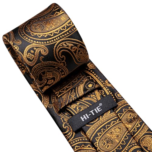 Image of Hi-Tie Mens Paisley Floral Striped Ties Set Silk Necktie and Lapel Pin for Men Pocket Square Cufflinks Set Business Wedding