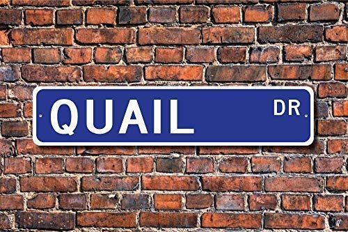TNND Quail Gift Sign Decor Quail Lover Small Ground Street Sign 4x40,6 cm