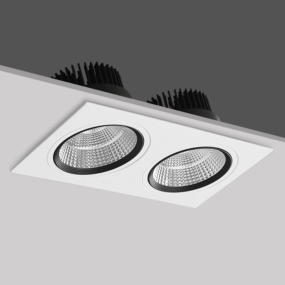 Spot encastré à 2 lumières pour Plafond, plafonnier Moderne d'intérieur, Spots directionnels pour Salon ou Couloir, luminaire sur Rail Fixe, 3000K 14W, 6000K 10W,6000k10w