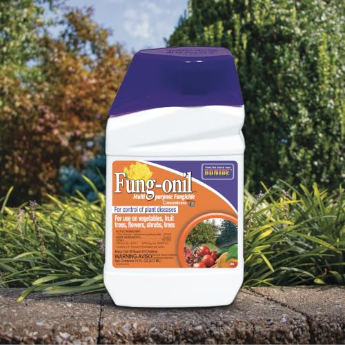 Bonide Fung-onil Multi-Purpose Fungicide, 16 oz Concentrate - image 6