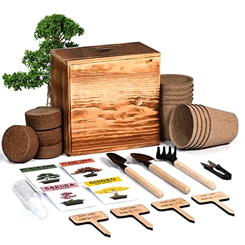 4 Bonsai Tree Seeds with Complete Growing Kit & Wooden Planter Box, Indoor Bonsai Tree Starter Kit, Great Potted Plants DIY Gift for Adults