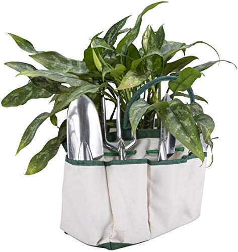 Crenova 10 Piece Garden Tools Set-Gardening Tools,Pruning Shears,Garden Gloves,Garden Tote,Kneeling Pad and Garden Sprayer.Add 3 Free Piece Mini Gardening Tool Set.Best Gift for Women and Men.