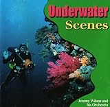  Underwater Scenes