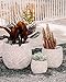 XBrand Set of 3 Fiberstone Cement Round Indoor Outdoor Planters, Modern Decorative Plant Pots with Drain Hole for All House Plants, Succulents & Flowers, 16