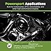 E3 Spark Plugs E3.34 Powersports Spark Plug for Motorcycles, ATVs, Snowmobiles, and More, Patented DiamondFIRE Technology, Pack of 1