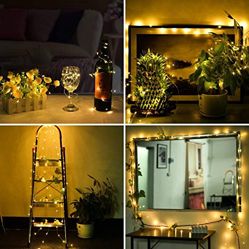 PESCA 3AA Battery Powered, Waterproof, Copper Wire String Fairy Lights with 30 LEDs Warm White 3 Meter, Prong Base, 1 Watts