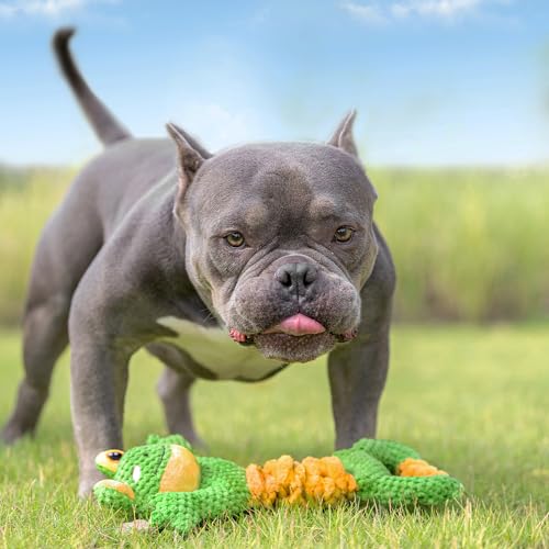 Image of Sedioso Dog Tug Toy, Durable Dog Toy for Large Breed, Tug of War Dog Squeaky Toys, Stuffed Plush Dog Toy with Crinkle Paper for Small, Middle, and Big Dogs(Frog)