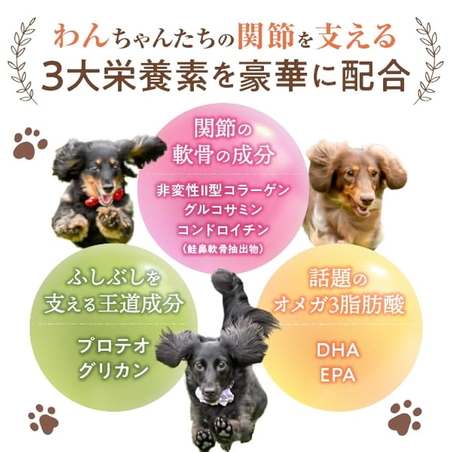うちの関節サポート　5袋 Amazon | 【獣医師監修】 うちの関節サポート サプリメント