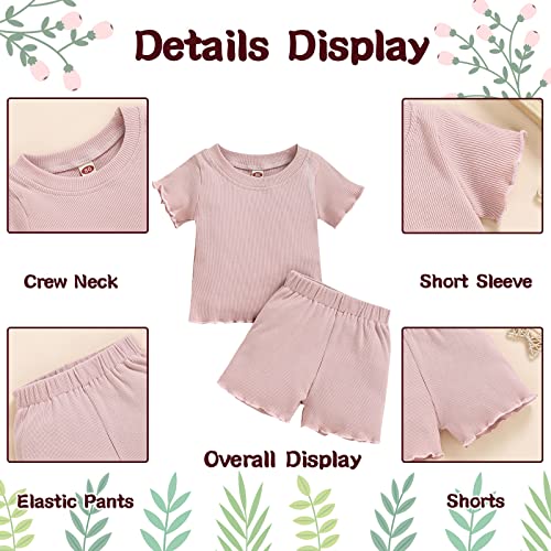Image of Toddler Girl Clothes Summer Outfit Short Sleeve Shorts Set 12M-5T