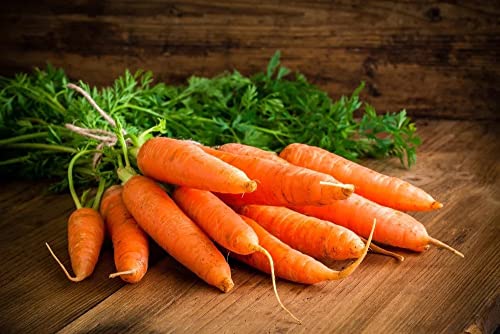 Foster'S Since 1984 Foster'S Pickled Carrots- Original- 32Oz (2 Pack) - Pickled Carrots In A Jar - Traditional Pickled Vegetables Recipe For 30 Years - Gluten Free - Fat Free Carrots Pickled - Preservative Free Pickles thumb #6