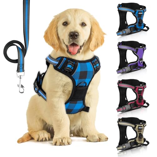 SIBOTER Hundegeschirr mit Hundeleine, Reflektierendes Hundegeschirr Kleine Hunde, mit Einfache Kontrolle Griff und Rückseite perfekt für Spaziergänge im Freien (Blau Kariert, M)