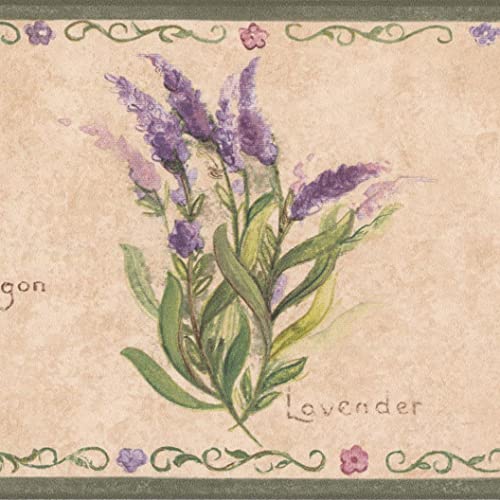 Concord Wallcoverings Wallpaper Border Country Pattern Herbs Tarragon Lavender Parsley For Cottage Kitchen Dining Room, Cream Green Pink, 15 Ft By 5.25 In Kt77900 #TOP21
