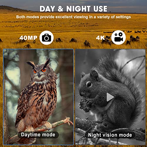 Hiacinto Night Vision Binoculars - 4.5'' Large Screen Night Vision Goggles For Adults, 4K Digital Infrared Night Vision, 32Gb Memory Card For Photo And Video Storage, Suitable For Camping And Hunting #TOP3