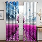 【Motif d'impression HD】Impression numérique 3D, la santé environnementale, ne se décolore pas, Les motifs exquis sont impressionnants. Visitez notre magasin pour découvrir plus de rideaux et draperies pour décor.