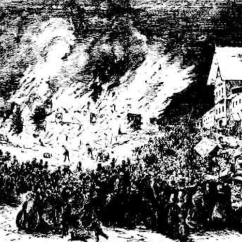 S8 Ep656: Summary 2 Jeremy Zakis shares the story of Bear, a heroic koala detection dog who recently retired. As a specially trained "Coolie," Bear located dozens of injured koalas during the devastating 2019-2020 Australian bushfires. His legacy continues through