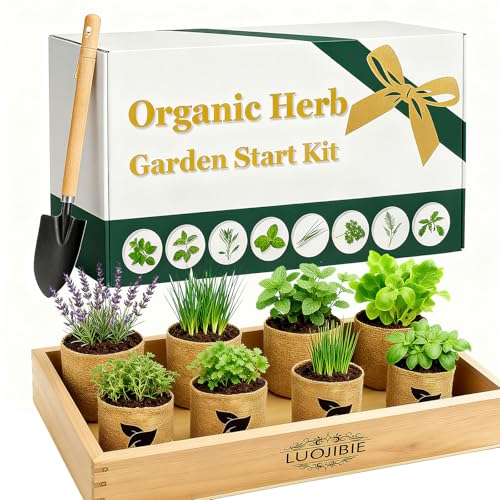 Organic Indoor Herb Garden Start Kit - Unique Gifts for Women, Valentine's Day Gift, Easy House Plant- Birthday for Women,House Warming Gift New Home- Fresh Herb Garden DIY Crafts for Adults