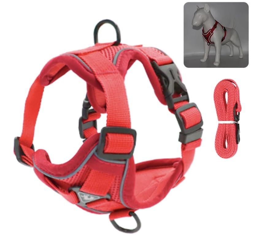 TruBest™ Small Dog Vest Harness | Puppy Dog or Cat Vest Harness | Dog Harness with Nylon Leash | Soft & Breathable | Reflective Escape Proof | No Pull No Choke Harness (Small, Red) (B0BMQYN6F5) Amazon Price History, Amazon Price Tracker