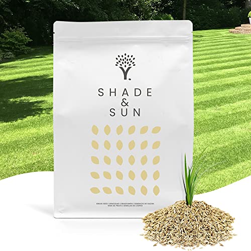 MOOWY | Semences de gazon pour 100 m² de zones ombragées et sèches | Réparation de plaques de gazon, épaississant de pelouse, graines d'hiver, semences de gazon et traitement de pelouse | 100m²