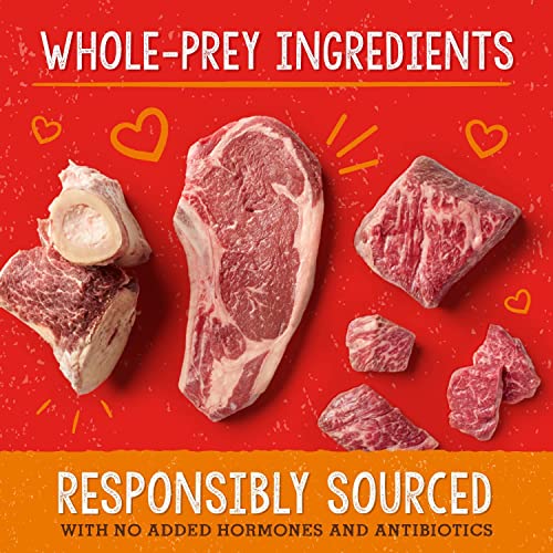 Stella & Chewy's Freeze-Dried Raw Dog Food for Digestive Health - Grass-Fed Beef Dinner Morsels - Natural Solution for Sensitive Stomach, Gas & Firm Stools - Premium Raw Nutrition - 4.25oz - Image 5