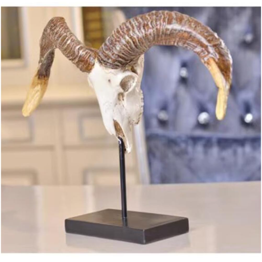 Echte Schaf Schädel Exemplar - Taxidermy Schaf Schädel Statue - 12.99inch Tall Skull Dekoration für Sammlerstück Figuren Home Office Tabletop Ornamente