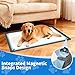 ALOOF Large Silicone Dog Pee Pad Holder 25x36 in, Puppy Potty Training Tray with Magnetic Snaps & Raised Edges, Non-Slip Floor Protector, Gray