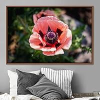 Framed Canvas Wall Art Flora Snapshot Closeup Dark Expressive Farmhouse/Country Floral Multicolor Photography Realism Single - 16x24 inches