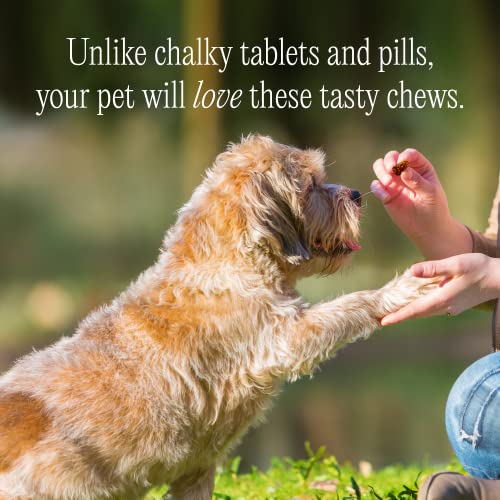 pawTree-Natural-Allergy-Support-Plus-for-Dogs-Ideal-for-Itching-Irritated-Skin-Seasonal-and-Food-Allergies-Hot-Spots-Supplement-Your-pet-Will-Love-Small-Chews-for-Pets-60-Count-Large