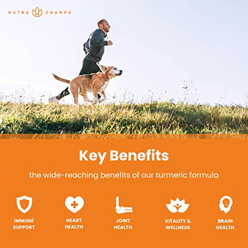 Elderberry And Turmeric Curcumin Capsules Bundle #TOP4