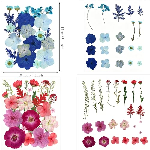 120 hojas y flores prensadas secas para manualidades miniatura 4