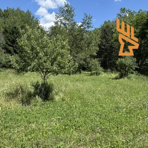 EP233 Waterholes or Ponds, Perennial or Annual Food Plots, Compost Teas