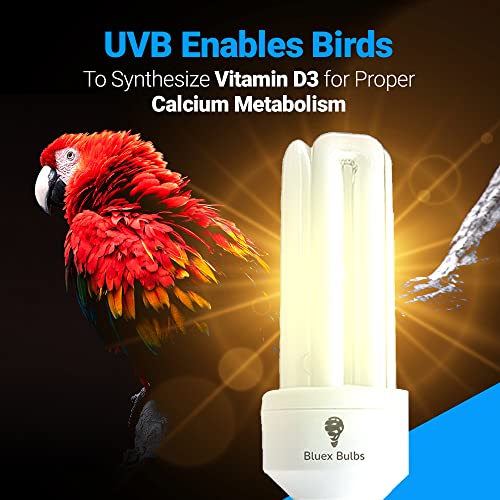 Bluex Bulbs Reptile 20W Uvb 2.4 Bird Cfl Sku 120 20-Watt Bird Avian Light 2.4% Uvb Uva Fluorescent Lamp thumb #3