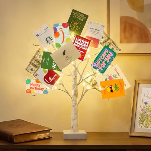 EAMBRITE Money Tree Gift Holder Lighted Birch Tree 2FT 24LED Battery/USB Powered Timer Light Up Display Twig Gift Card Tree with 12 Clear Clips and 6 Cards for Home Christmas Graduation Photo Memo