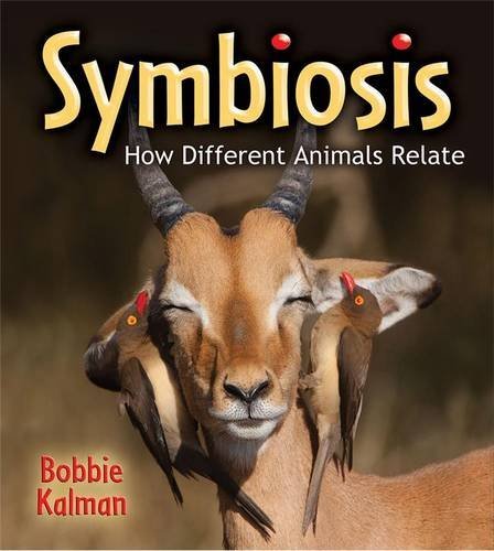 Symbiosis: How Different Animals Relate (Big Science Ideas (Paperback))