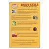 GIANT MICROBES Body Cells Themed Gift Box, Biology Gifts, Science Teacher Gifts, Cell Biology, Cell Plush, Bag Charms