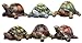 Set of 6 MayRich 3" x 1.5" Resin Tortoise and Turtle Figurines