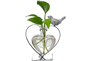 Marbrasse Desktop Glass Vase: Creative Heart Shape Vase for Plant Lovers