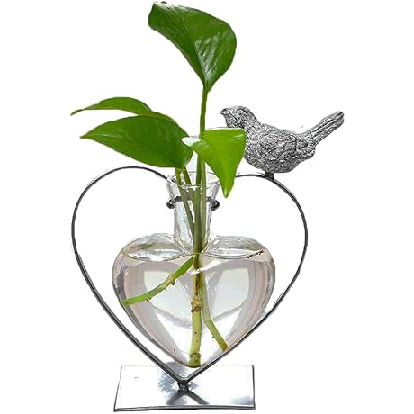 Marbrasse Desktop Glass Vase: Creative Heart Shape Vase for Plant Lovers