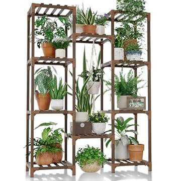 5 Plant Stands That Will Transform Your Indoor Space 3 plant stand for indoor plants