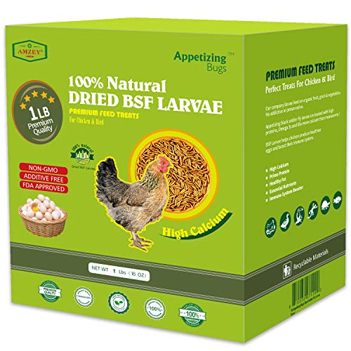 Dried Black Soldier Fly Larva/Dried Mealworms - 1 LBS - 100% Natural BSF Larvae - 85XMore Calcium Than Mealworms - High Calcium Treats for Chickens Birds Reptiles Hedgehog Geckos Turtles- 1 LBS