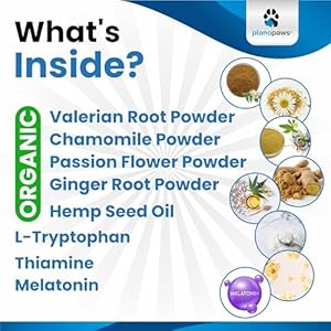 Dog Anxiety Relief - Faster Absorption Than Hemp Calming Chews for Dogs - Dog Calming Chews Alternative - Hemp Oil and Melatonin for Dogs - Liquid Dog Calming Treats for Thunder, Fireworks, Sleep Aid Dog Anxiety Relief Faster Absorption Than Hemp Calming Chews for Dogs Dog Calming Chews Alternative Hemp Oil and Melatonin for Dogs Liquid Dog Calming Treats for Thunder Fireworks Sleep Aid