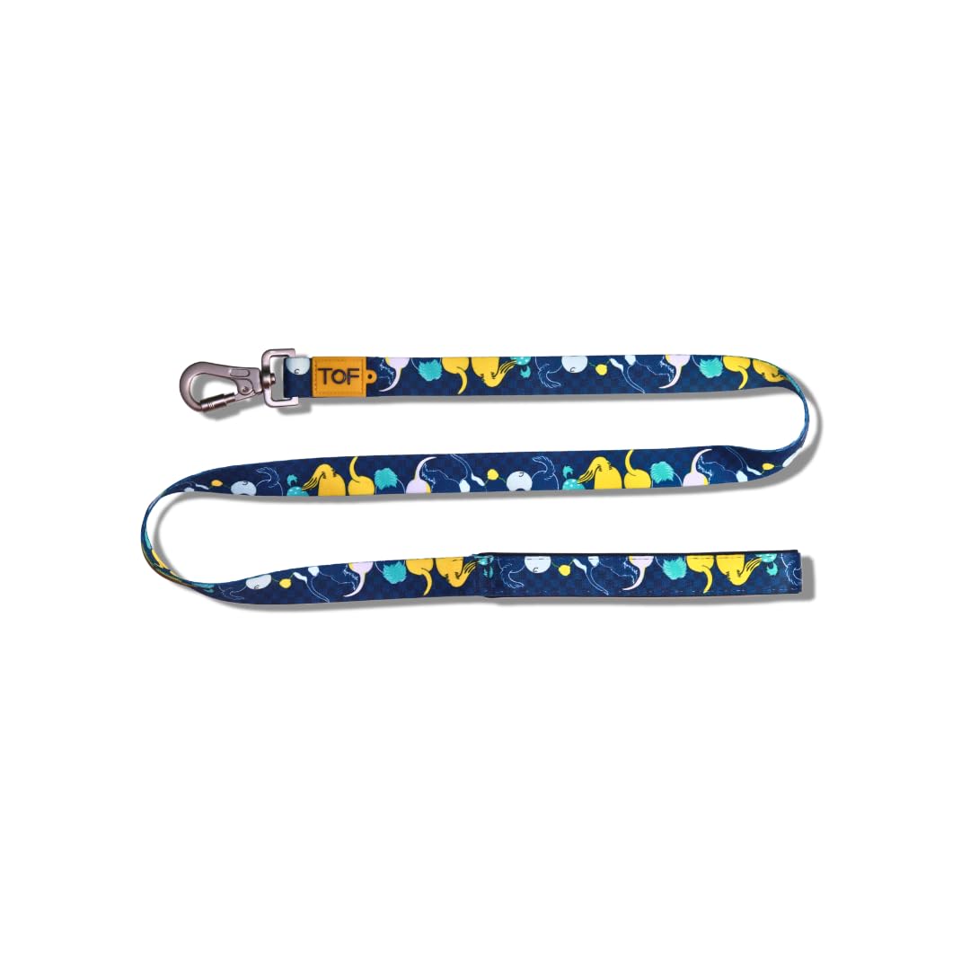 Tales of Fur Tails Ahoy! Premium Carabiner Leash with Padded Handle (Small) (B0CG6QNVXR) Amazon Price History, Amazon Price Tracker