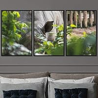3 Piece Framed Canvas Wall Art Wild Animals Dramatic Hallway Canvas Prints Home Artwork Decoration for Living Room,Bedroom - 16