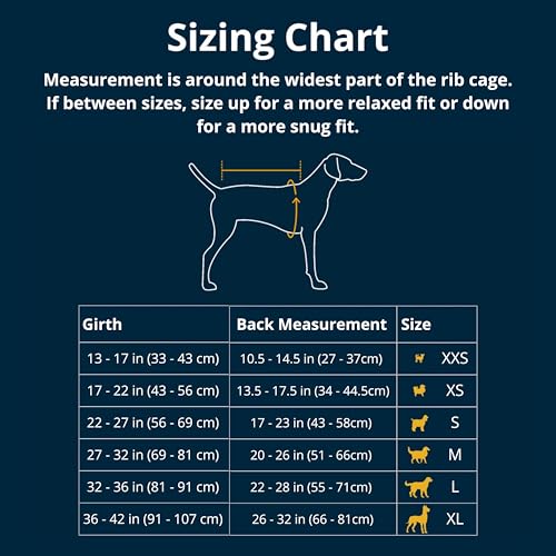 RUFFWEAR Quinzee Regenjacke für kleine Hunde, isolierter Allwetter-Hundemantel, Wasserabweisende Hundejacke, leichte Hundeweste und Tragetasche, Größe S, Obsidianschwarz