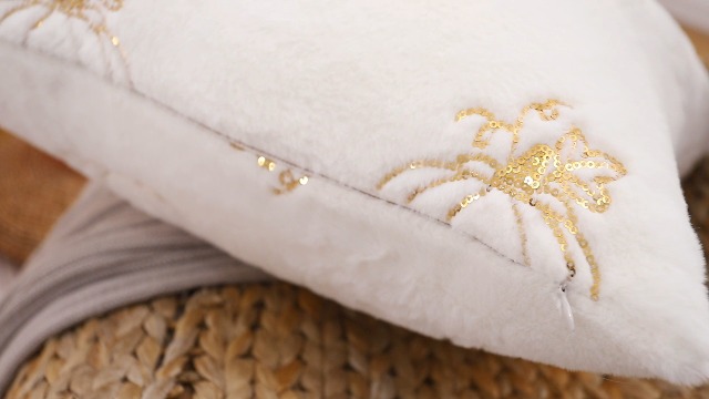 一 P1000 - Air Filter change - Honda Pioneer 1000 | HONDASXS - The