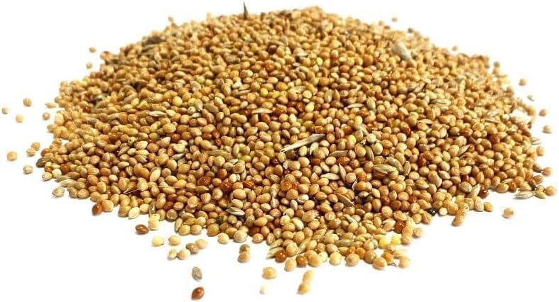 5 Litre Refill Bag Budgie Seed Mixed Cage & Aviary Bird Food 5L (approx. weight 3kg)