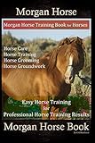 Morgan Horse, Morgan Horse Training Book for Horses, Horse Care, Horse Training, Horse Grooming, Horse Groundwork, Easy Horse Training for Professional Horse Training, Morgan Horse Book