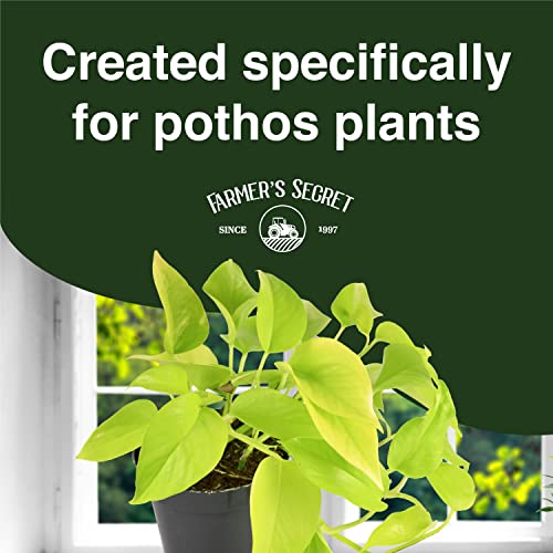 Farmer’s Secret Pothos Liquid Plant Food Fertilizer (8oz) - Super Concentrated - 6:5:3 Ratio - Strengthen Roots and Encourage Growth in All Varieties of Pothos