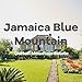 Jamaican Blue Mountain Coffee, Clifton Mount Estate, 100% Certified, Ground, Fresh Roasted, 16-ounce